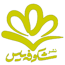 شکوفه یاس