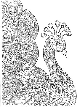 300x200