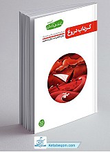 تا ساحل آرامش 4 - گرداب دروغ