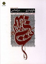 بازنمایی زمینه ها