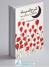 شرح اسم ماه عاشقانه ای با مه پاره های کربلا - جلد اول