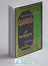 رسائل اصولیه
