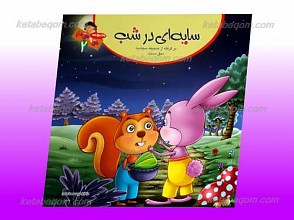 مجموعه حق و حقدار 2 ـ سایه ای در شب