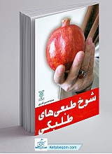 شوخ طبعی های طلبگی