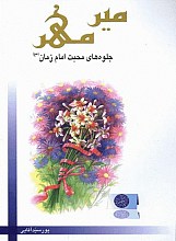 میر مهر (جلوه های محبت امام زمان (ع))