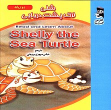 شلی لاک پشت دریایی