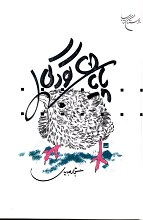 پایان کودکی