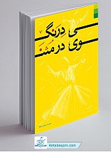 درنگی در مثنوی