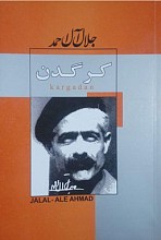 کرگدن