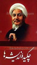 چکیده اندیشه ها ـ آشنایی با دیدگاه های آیت الله العظمی صانعی