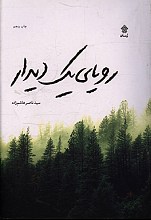 رویای یک دیدار