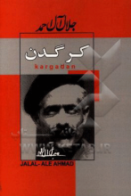 کرگدن