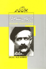 ارزیابی شتابزده