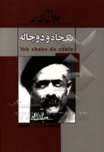 یک چاه و دو چاله و مثلا شرح احوالات